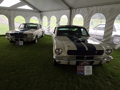 A-6s102 (L) - 5s429 (R) 2015-06-04 @ All Ford Carlisle image1
